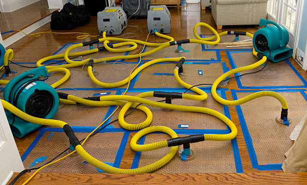 Professional Crawl Space Water Removal technician working in Farmdale, OH
